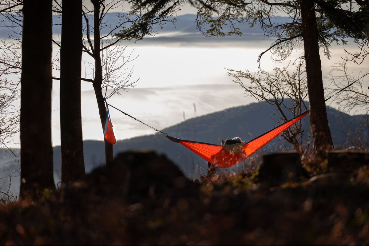 Person lying in an orange hammock between trees on a hilltop above a sea of clouds
