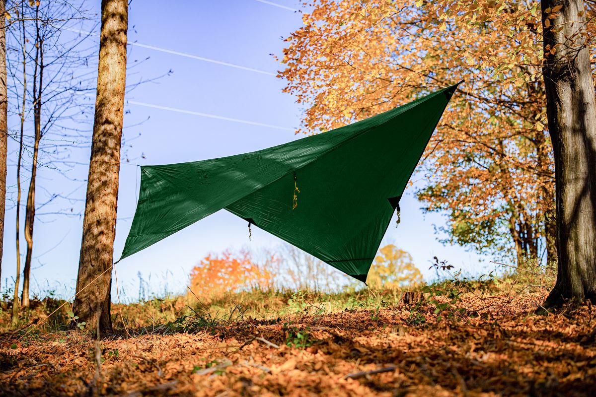Lightest Tarp in green strung diagonally between trees in an autumn forest under blue sky