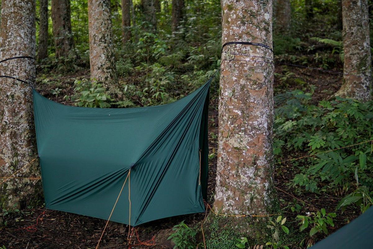 FULLMOON TARP in dark green pitched low between trees in a forest with orange guylines