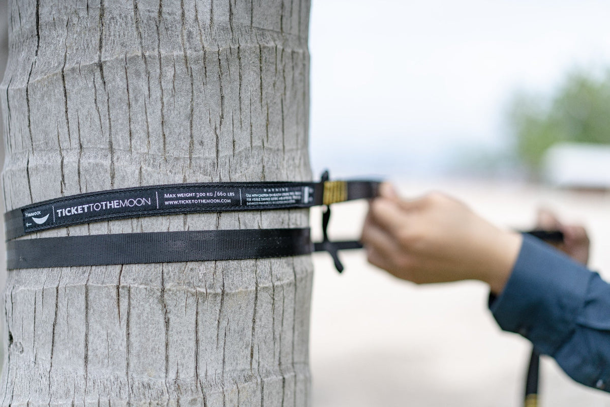 Moon Straps (2-Pack) wrapped around a palm trunk while a hand pulls it tight, max weight 300 kg / 660 lbs printed on the strap