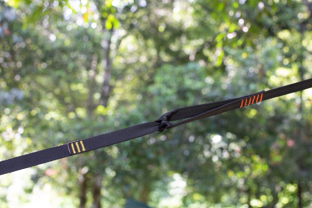 Tree Friendly Extender (2-Pack) looped onto a black tree strap, hanging between trees in a forest
