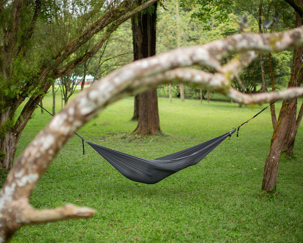 Dark grey hammock hanging between trees in a grassy park, framed by a pale branch in the foreground