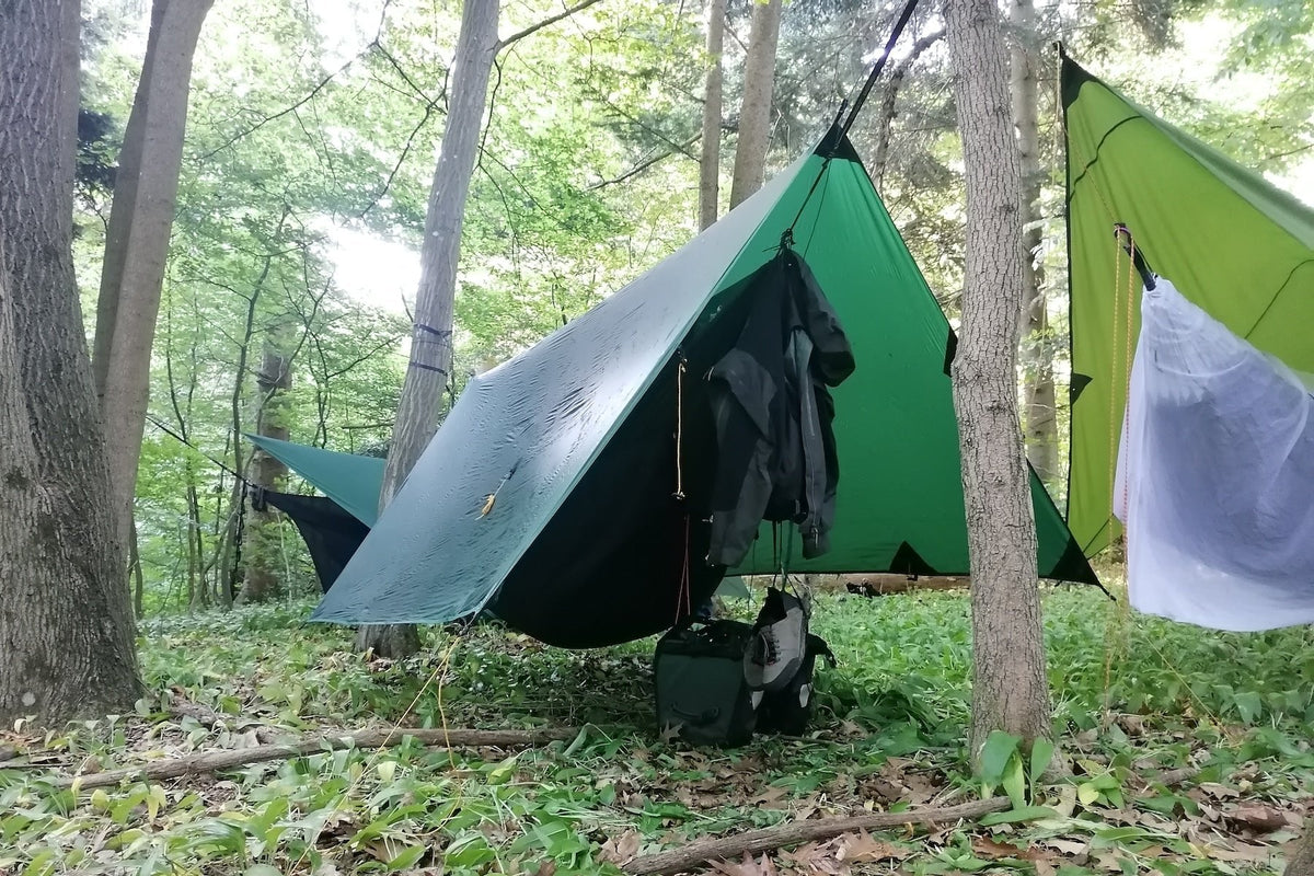 FULLMOON TARP in teal pitched over a hammock with a jacket hung underneath, among other tarps in a forest