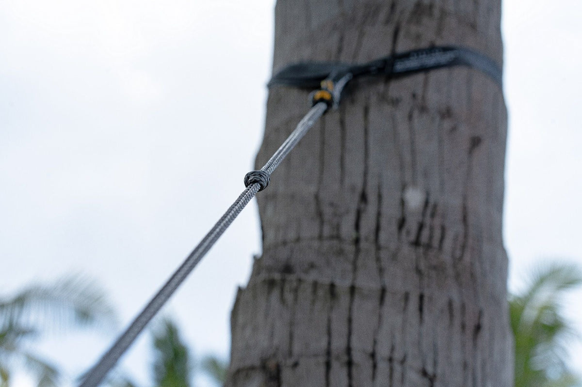 Close-up of a Lightest Straps (2-Pack) wrapped around a palm trunk with a grey cord running to the hammock