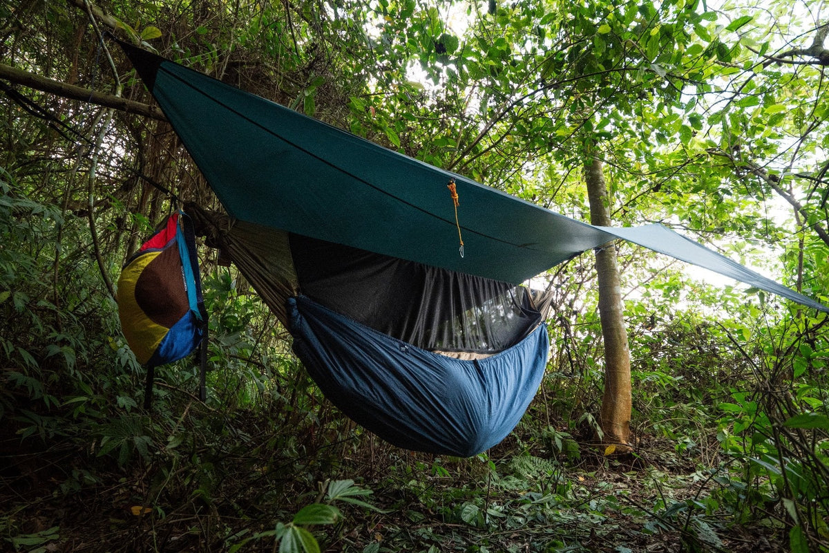 Moon Tarp pitched over a hammock with bug net and blue underquilt in dense forest