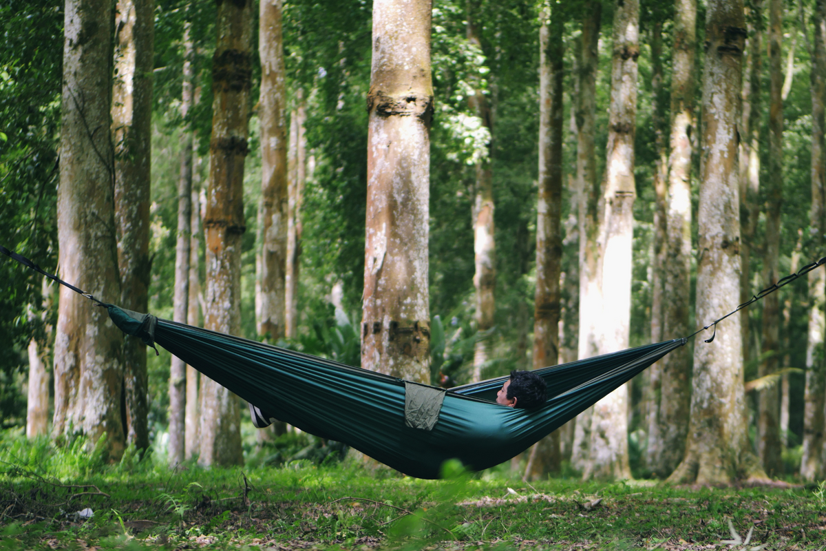Person relaxing in a dark green Travel Hammock Original strung between tall trees in a forest