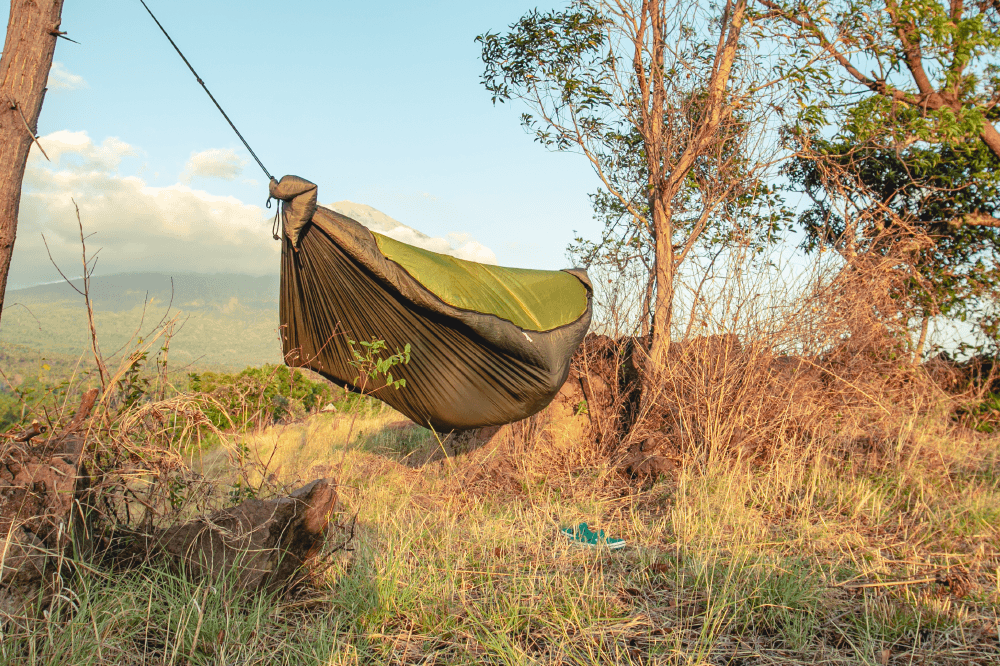 Olive Pro Hammock (Custom) with bug net closed, hung from a tree on a grassy hillside